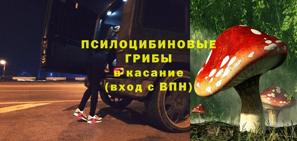 мяу мяу мука Алексин