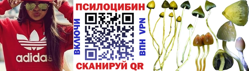 Галлюциногенные грибы Cubensis  цены наркотик  Чехов 