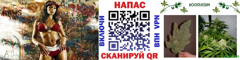 Бошки Шишки план Чехов